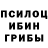Галлюциногенные грибы Cubensis 0o0o0