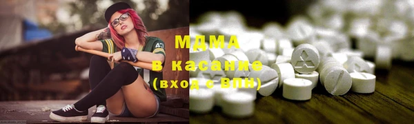 индика Каменка