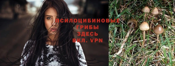 кристаллы Алзамай