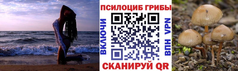 Галлюциногенные грибы прущие грибы  ОМГ ОМГ ссылки  Бронницы 