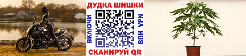 Бошки Шишки марихуана  цены наркотик  Бронницы 